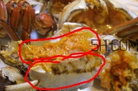 螃蟹的屎在哪里？螃蟹的屎和蟹黃怎么分辨？