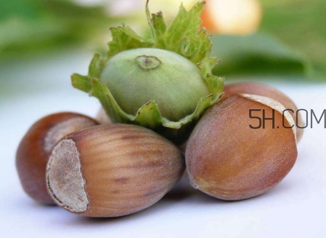 榛子生吃好還是熟吃好？榛子怎么吃營養(yǎng)價值高？