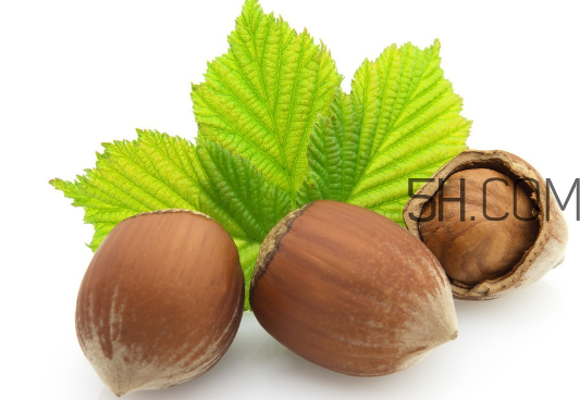 榛子的皮可以吃嗎？榛子的皮怎么處理？