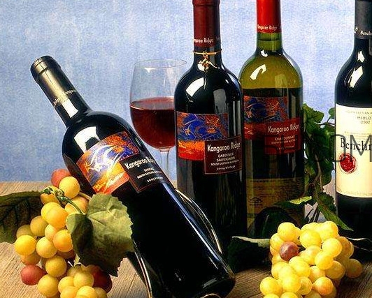 小孩能不能喝葡萄酒？高血糖能不能喝葡萄酒