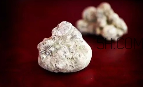 白松露一公斤多少錢？白松露到底有多貴有多好呢