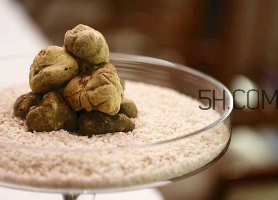 白松露一公斤多少錢？白松露到底有多貴有多好呢