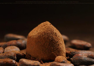 松露巧克力哪個牌子好？松露巧克力多少錢一盒