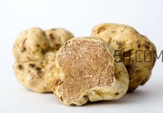 松露怎么分辨真假？松露怎么清洗