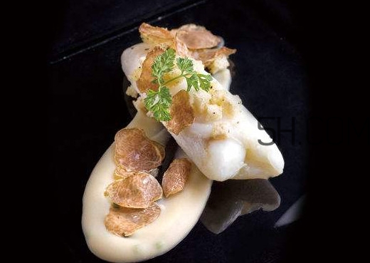 白松露是什么？白松露的功效與作用