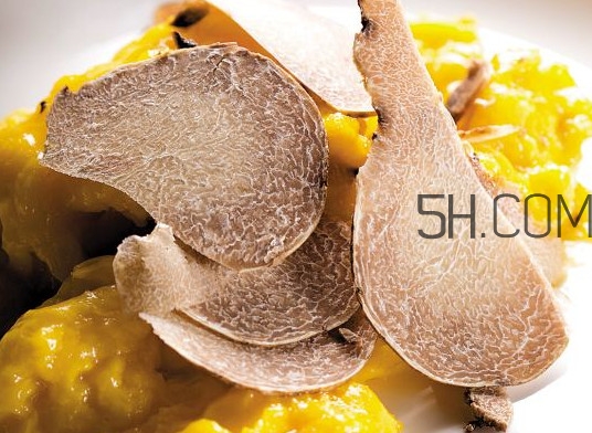 白松露怎么吃？白松露可以曬干保存嗎