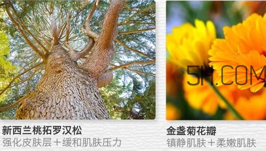 the saem得鮮眼霜適合什么年齡？得鮮眼霜怎么樣？