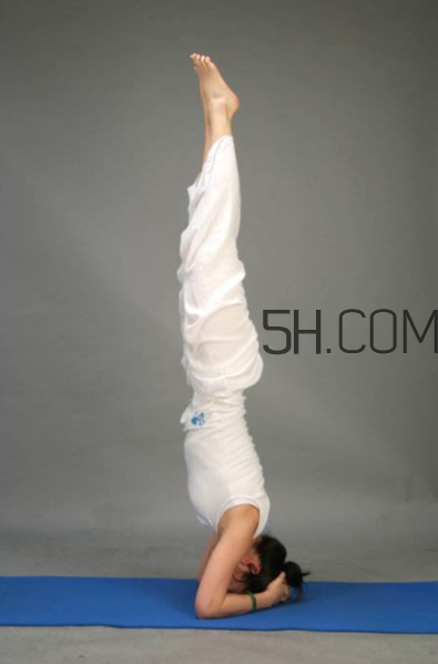 倒立多久可以瘦肚子？倒立能夠瘦腿嗎？