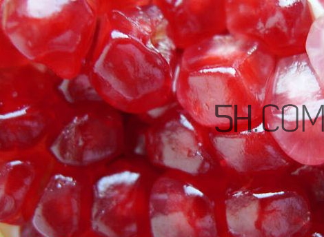 紅如意軟籽石榴騙局 紅如意軟籽石榴價格 紅如意軟籽石榴騙局 紅如意軟籽石榴價格