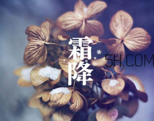 2017霜降會(huì)下雨嗎 霜降下雨好嗎 2017霜降會(huì)下雨嗎 霜降下雨好嗎