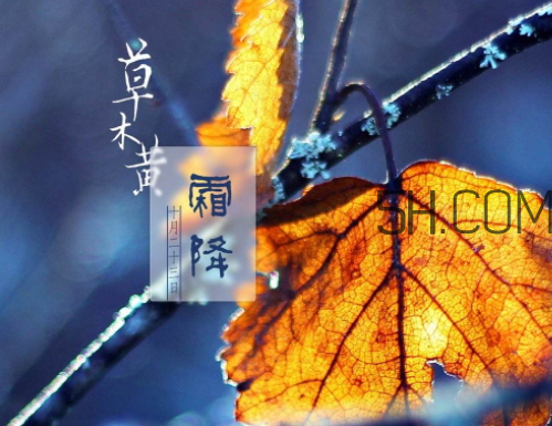 2017霜降會(huì)下雨嗎 霜降下雨好嗎 2017霜降會(huì)下雨嗎 霜降下雨好嗎