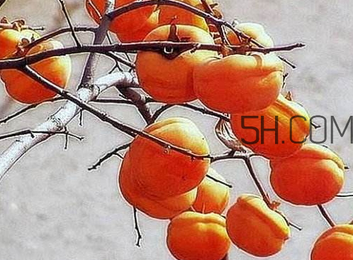 2017霜降會(huì)下雨嗎 霜降下雨好嗎 2017霜降會(huì)下雨嗎 霜降下雨好嗎