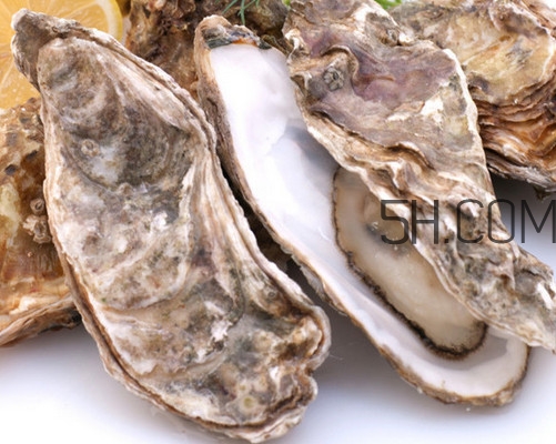 海蠣子怎么保存？海蠣子怎么挑選