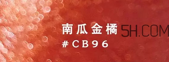 超適合秋冬的南瓜色口紅推薦 超適合秋冬的南瓜色口紅推薦