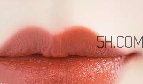 超適合秋冬的南瓜色口紅推薦 超適合秋冬的南瓜色口紅推薦