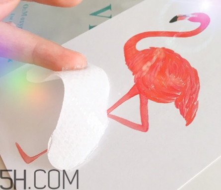 敷完眼膜后需要清洗嗎 眼膜用完要洗嗎 敷完眼膜后需要清洗嗎 眼膜用完要洗嗎