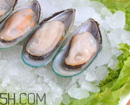 海蠣子是發(fā)物嗎？海蠣子什么人不能吃