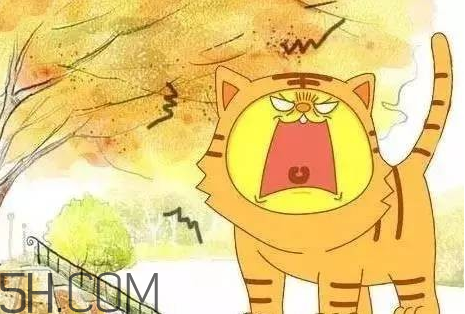 2017年有秋老虎嗎？秋老虎飲食注意事項