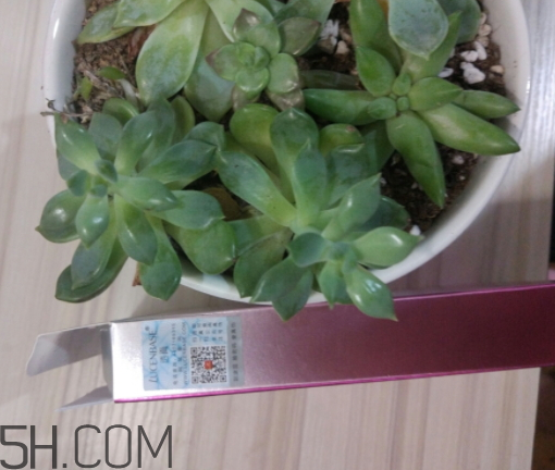 透真眼貼膜貼多長(zhǎng)時(shí)間 透真眼貼膜怎么樣 透真眼貼膜貼多長(zhǎng)時(shí)間 透真眼貼膜怎么樣