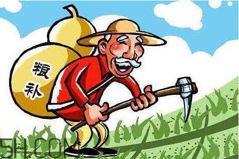 2018年玉米補(bǔ)貼多少錢(qián)？2018年玉米補(bǔ)貼什么時(shí)候發(fā)？