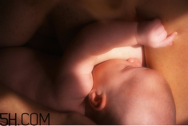 奶粉都是化學(xué)成分嗎 母乳和奶粉的營(yíng)養(yǎng)區(qū)別 奶粉都是化學(xué)成分嗎 母乳和奶粉的營(yíng)養(yǎng)區(qū)別