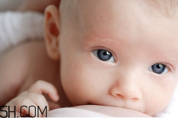 奶粉都是化學(xué)成分嗎 母乳和奶粉的營(yíng)養(yǎng)區(qū)別 奶粉都是化學(xué)成分嗎 母乳和奶粉的營(yíng)養(yǎng)區(qū)別