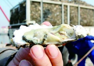 海蠣子是寒性的嗎？海蠣子是蒸還是煮好吃