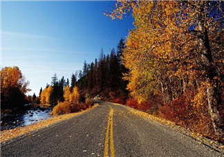 秋天喝蜂蜜有什么好處？秋天吃什么對(duì)身體好？