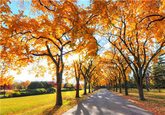 立秋后吃什么魚好？秋老虎吃什么解暑？