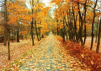 秋天怎么選擇防曬霜？秋天天天洗澡的危害