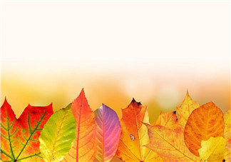 立秋后能吃醋泡姜嗎？醋泡姜什么時候吃最好？