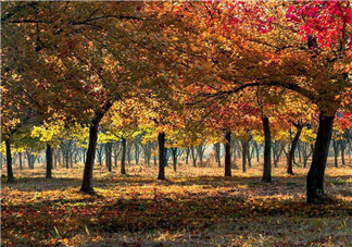 2017年有秋老虎嗎？秋老虎飲食注意事項(xiàng)