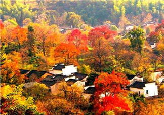 秋季滋補(bǔ)養(yǎng)生越補(bǔ)越好嗎？2017年秋天是幾月份？