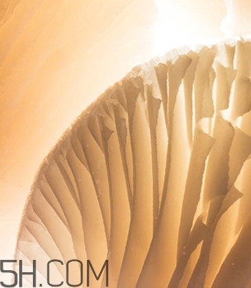 海藍(lán)之謎鎏光煥變蜜粉怎么樣？海藍(lán)之謎鎏光蜜粉好用嗎