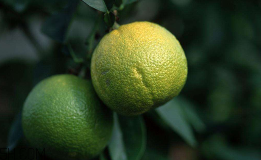 柚子不能和什么藥物一起吃？柚子皮煮水的功效