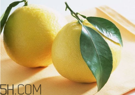 柚子的存放技巧 柚子的適宜人群 柚子的存放技巧 柚子的適宜人群