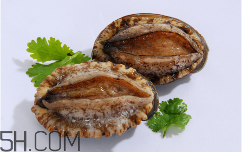 鮑魚(yú)吃了會(huì)上火嗎？鮑魚(yú)是發(fā)物嗎？