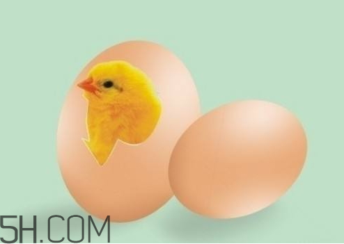 2018年雞蛋價格會漲嗎 2018年雞蛋價格預測 2018年雞蛋價格會漲嗎 2018年雞蛋價格預測