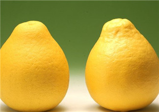 柚子不能和什么一起吃？文旦和柚子的區(qū)別