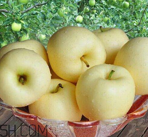 黃元帥蘋果怎么儲存 黃元帥蘋果可以放冰箱嗎 黃元帥蘋果怎么儲存 黃元帥蘋果可以放冰箱嗎