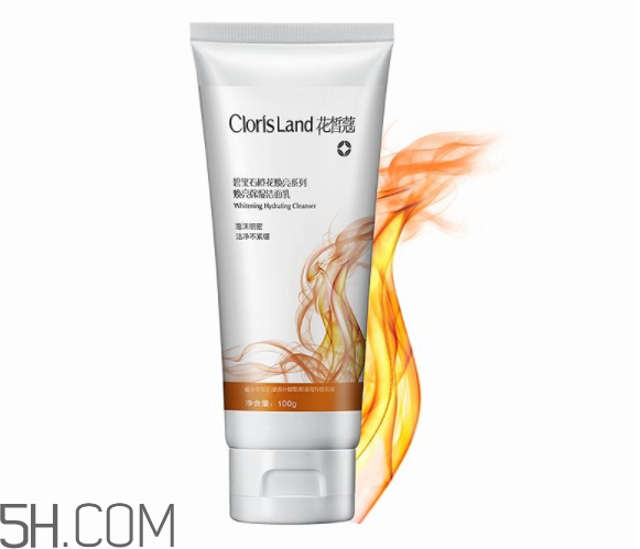 花皙蔻洗面奶怎么樣？花皙蔻洗面奶價(jià)格