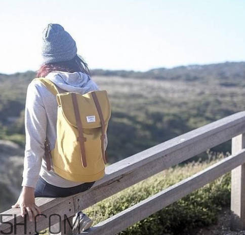 sandqvist是什么牌子？sandqvist是什么檔次？