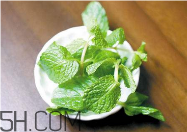 感冒可以喝酒嗎？薄荷治療感冒的方法