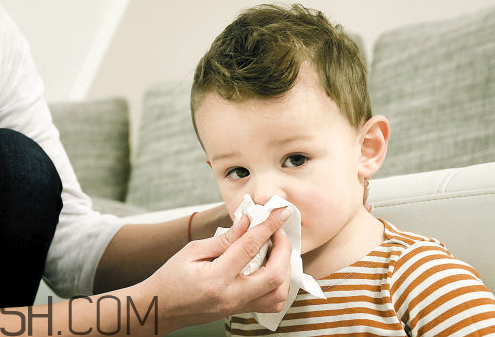 感冒能吃蘋(píng)果嗎？感冒藥吃了多久有效？