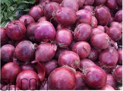 不同人群如何選擇感冒藥？感冒了能吃洋蔥嗎？