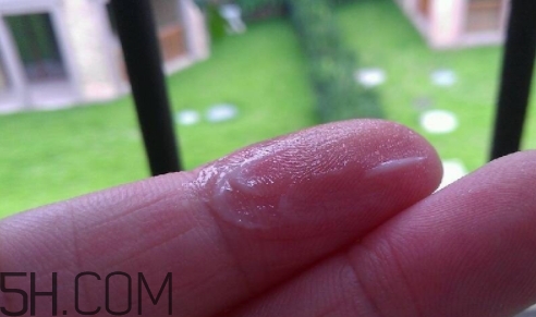 百雀羚乳液多少錢(qián)一瓶？百雀羚乳液專(zhuān)柜價(jià)格