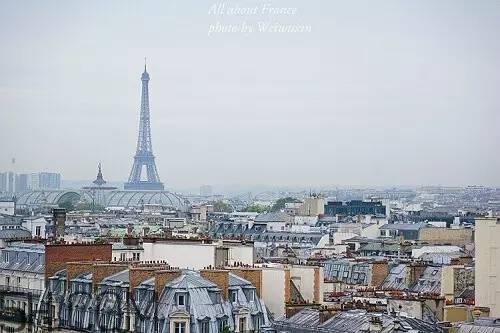 法國(guó)購(gòu)物去哪好 去法國(guó)購(gòu)物哪里最好 法國(guó)購(gòu)物去哪好 去法國(guó)購(gòu)物哪里最好