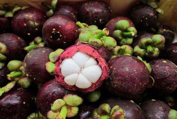 哪些人不能吃山竹？山竹軟的好還是硬的好？