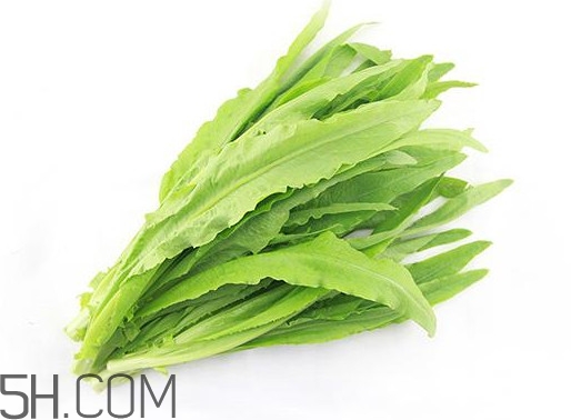 油麥菜是轉(zhuǎn)基因蔬菜嗎？油麥菜是發(fā)物嗎