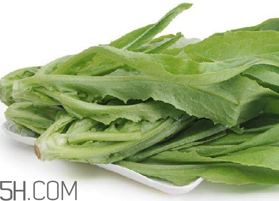 油麥菜可以隔夜嗎？油麥菜可以涮火鍋嗎